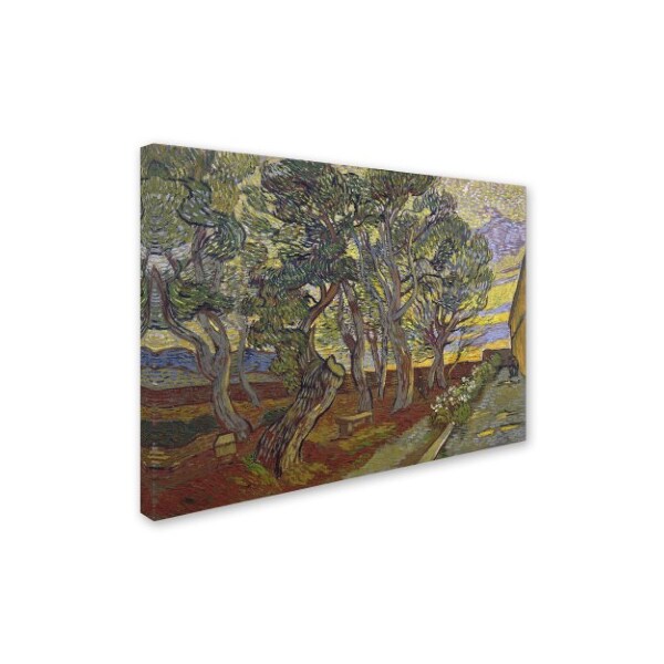 Van Gogh 'The Garden Bench At Saint Pauls Hospital' Canvas Art,35x47